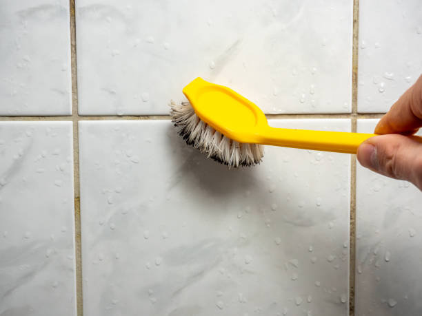 Best Toxic Mold Removal  in Highland, UT