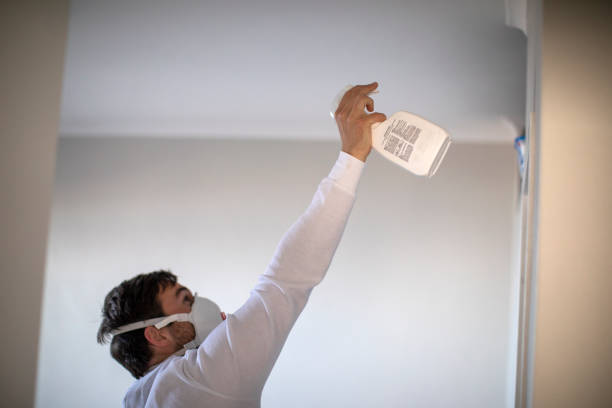 Best Mold Removal Company Near Me  in Highland, UT