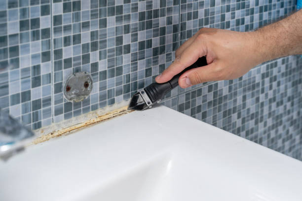 Best Same-Day Mold Removal  in Highland, UT