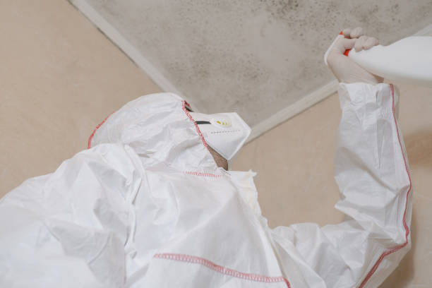 Best Fast Mold Removal  in Highland, UT