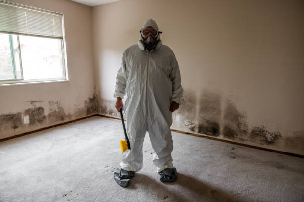 Best Commercial Mold Removal  in Highland, UT